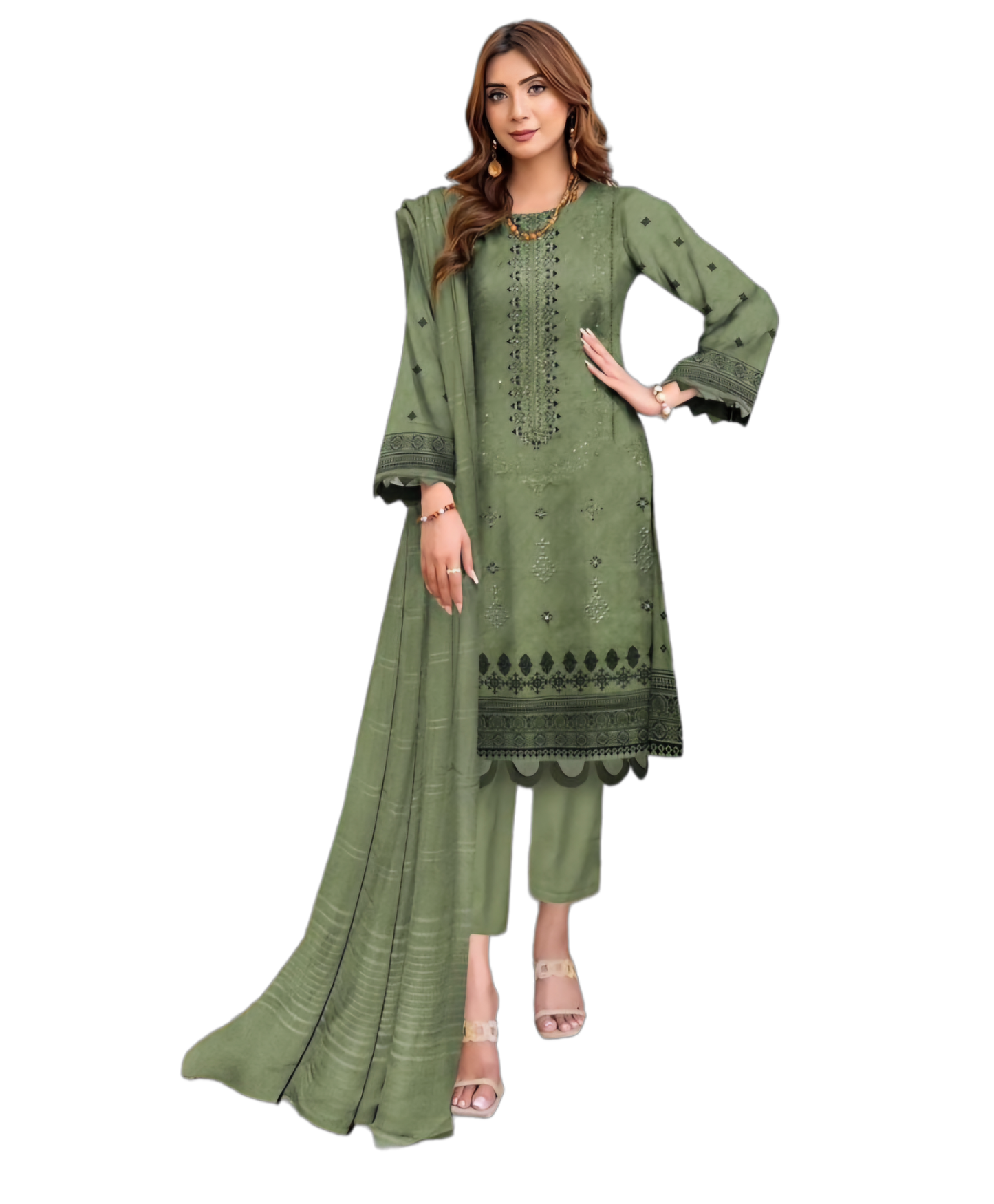 Nisha Designer Embroidered Suit